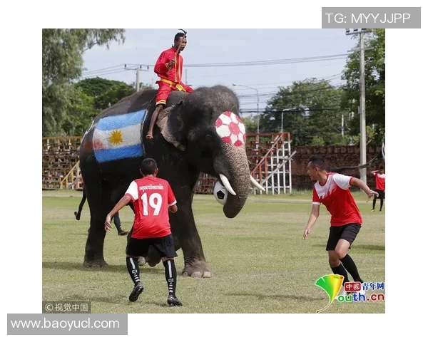 当今足球场上最帅气的明星球员盘点与魅力解析